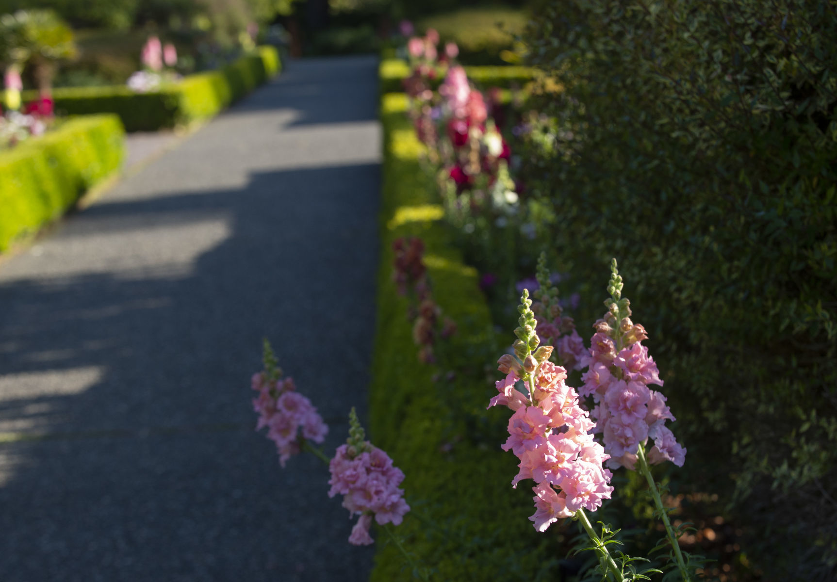 Shore Acres Gardens